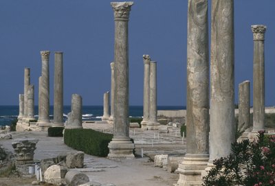 Main colonnated street by Roman